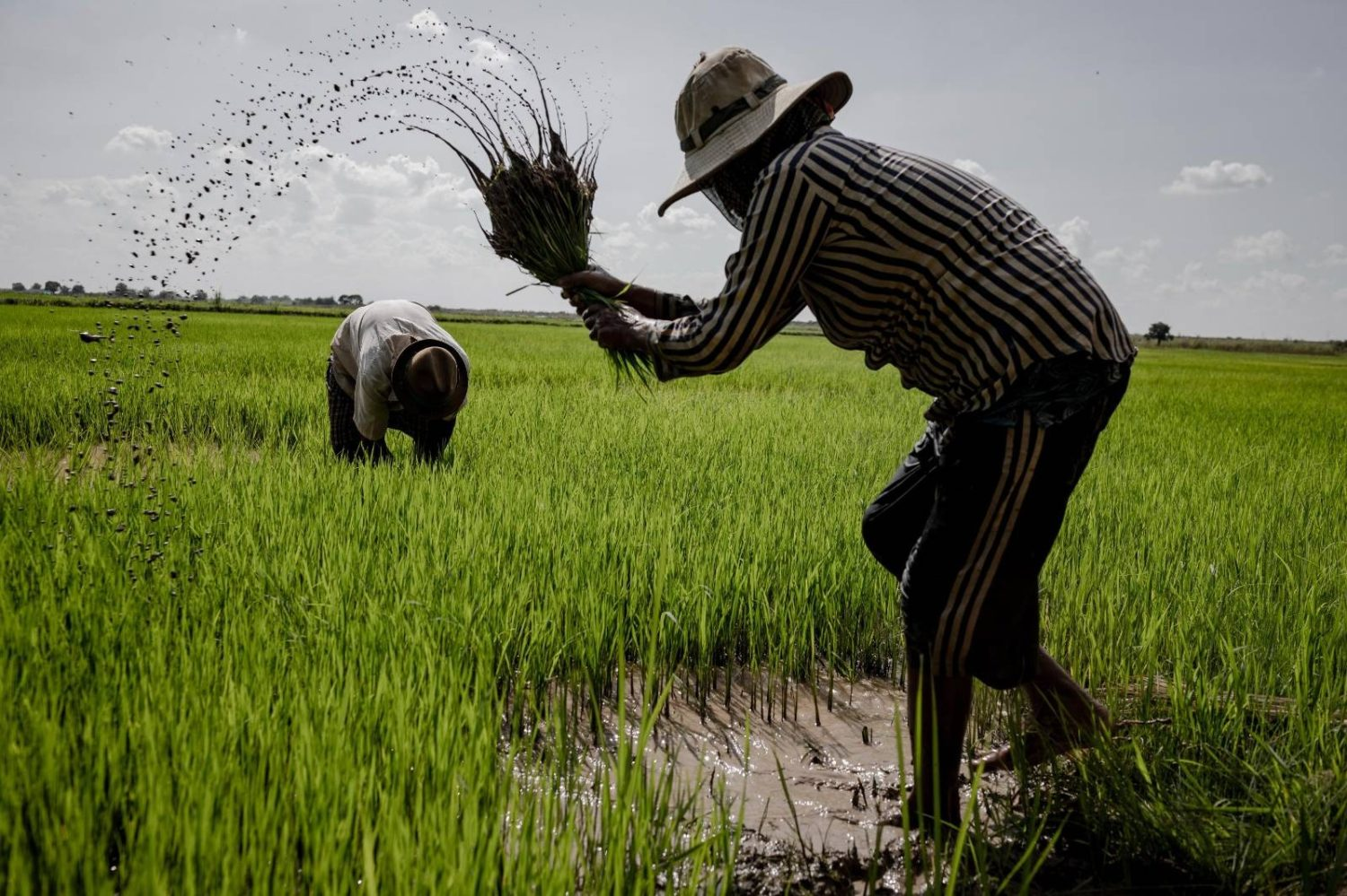 image_2025-11-03_115507985