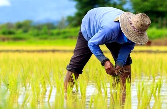 image_2025-11-03_115540466